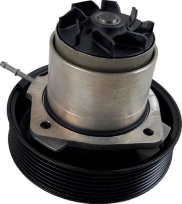 95810603303 Pièces moteur Pompe à eau