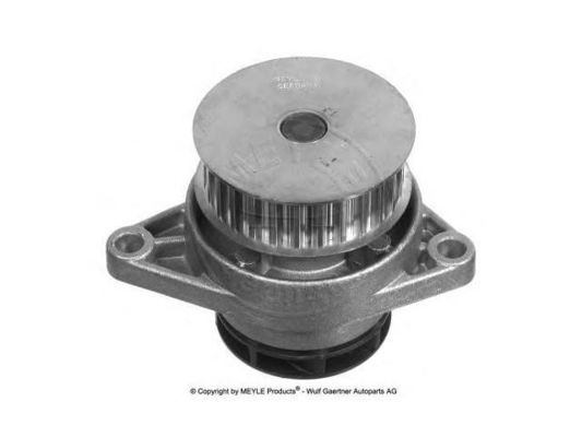 036121005P Pièces moteur Pompe à eau