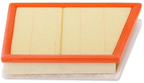 13718513944 Pièces moteur Filtre à air