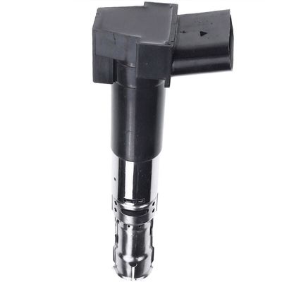 066905100C Pièces moteur bobine d'allumage pour VW PASSAT B5.5 (3B6)