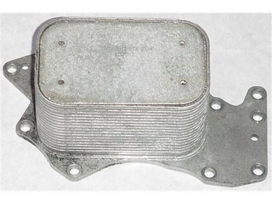 059117021J Pièces moteur refroidisseur d'huile