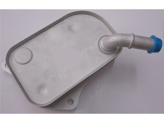 06B117021 Pièces moteur refroidisseur d'huile