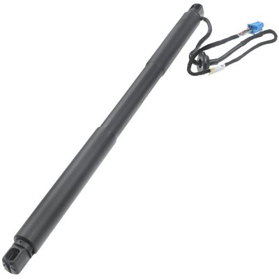 1668900100 Bottes à ressort à gaz