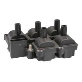 071905106 Pièces moteur bobine d'allumage pour VW GOLF, SEAT